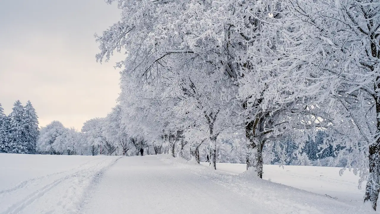 Bastu i ett snötäckt vinterlandskap bredvid kallt vatten